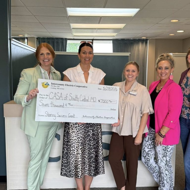 Photo submitted CASA of South Central Missouri advocates for abused and neglected children in the court system in Texas, Phelps, Maries and Pulaski counties. The main office is in Rolla, with satellite offices in Houston and St. Robert.