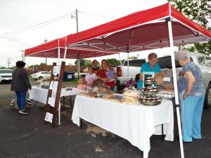 Gorman's Stone Hollow Farms cp7634